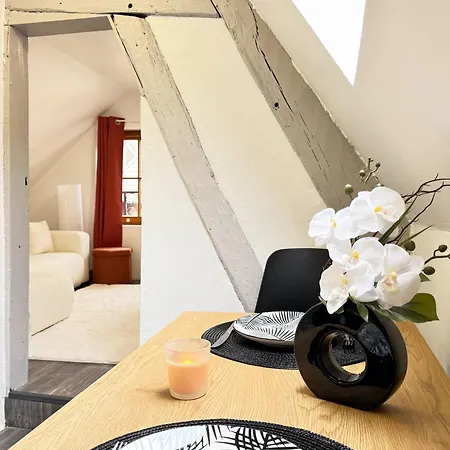Apartment La Douceur - Hypercentre Pieton De - Cozy